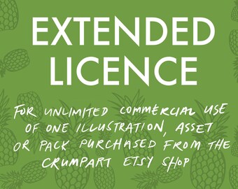 Extended Licence for unlimited use of an asset