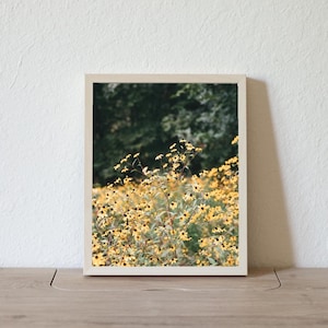 Brown-Eyed Susans Film Print, 35mm Fine Art, Minnesota Photograph, Nature Photography, Flower Wall Art, Floral Photography, Garden Imagery