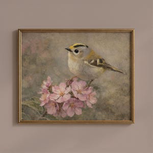 DIGITAL / Lámina vintage de aves Goldcrest para pared, ilustración botánica de aves n.° 85