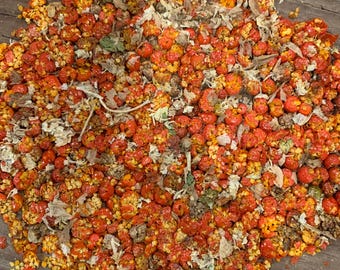 Heirloom Ashwagandha Seeds, Organic Herb, Non-GMO
