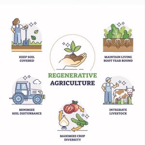 May include: Illustration of regenerative agriculture practices, including keeping soil covered, minimizing soil disturbance, maximizing crop diversity, integrating livestock, and maintaining living roots year-round.