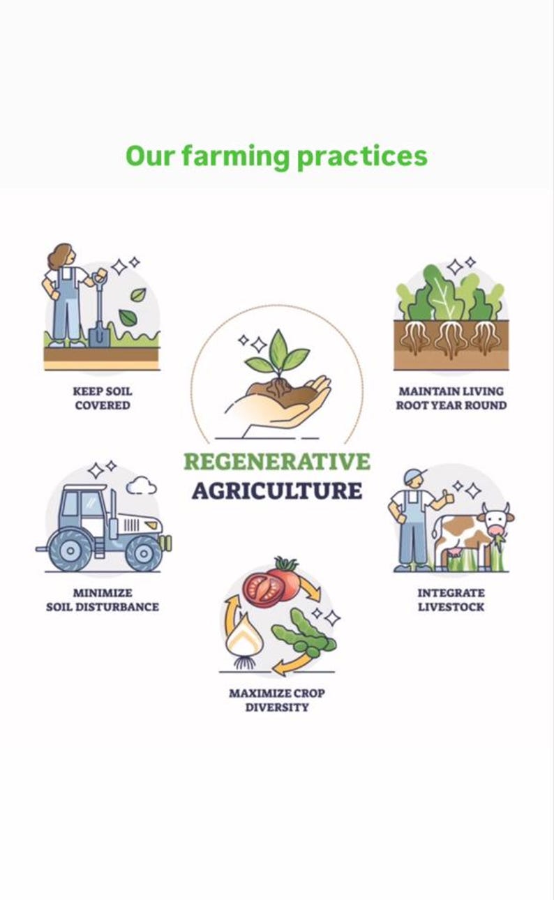 May include: Illustration of regenerative agriculture practices, including keeping soil covered, minimizing soil disturbance, maximizing crop diversity, integrating livestock, and maintaining living roots year-round.