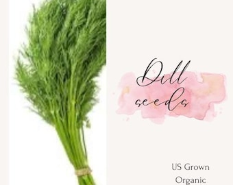 Heirloom Dill Seeds:  US Grown Herb Seeds