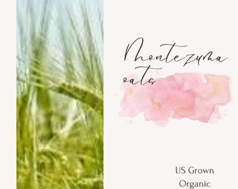 Montezuma Oats Heirloom, Non-GMO, cover crop, natural pest control, organic seeds, lawn alternative