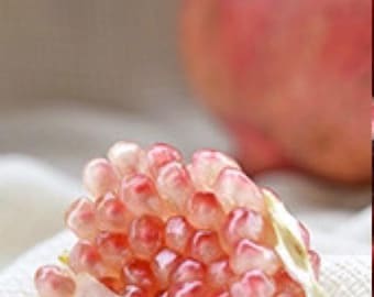Pink Globe Pomegranate Tree - Well rooted - potted tree