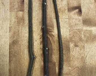 Estacas de romãzeira - Escolha (3) entre várias variedades, mudas para plantio no jardim.