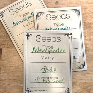 Heirloom Ashwagandha Seeds, Organic Herb, Non-GMO image 4