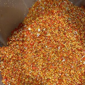Ashwagandha seed
