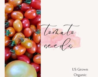 Ashland Tomato Seeds: Heirloom Variety, Organic US Grown