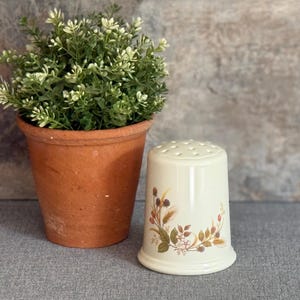 May include: A cream ceramic salt shaker with a floral design in brown, green, and yellow. The shaker has a rounded base and a perforated top. Next to it is a terracotta pot with a green plant.