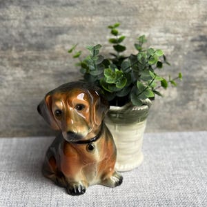 May include: A ceramic dachshund ornament in brown, black, and tan, with a black collar. Next to it is a small white and green planter holding green foliage. The ornament is a decorative item.
