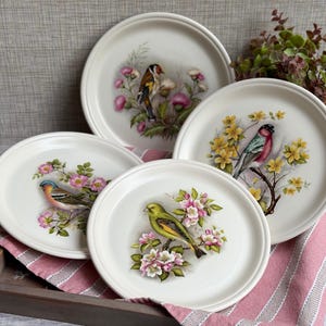 May include: A set of four round, off-white ceramic plates, each featuring a detailed illustration of a different bird perched on a flowering branch. The birds include a goldfinch, a bullfinch, a chaffinch, and a greenfinch, surrounded by colourful blossoms.