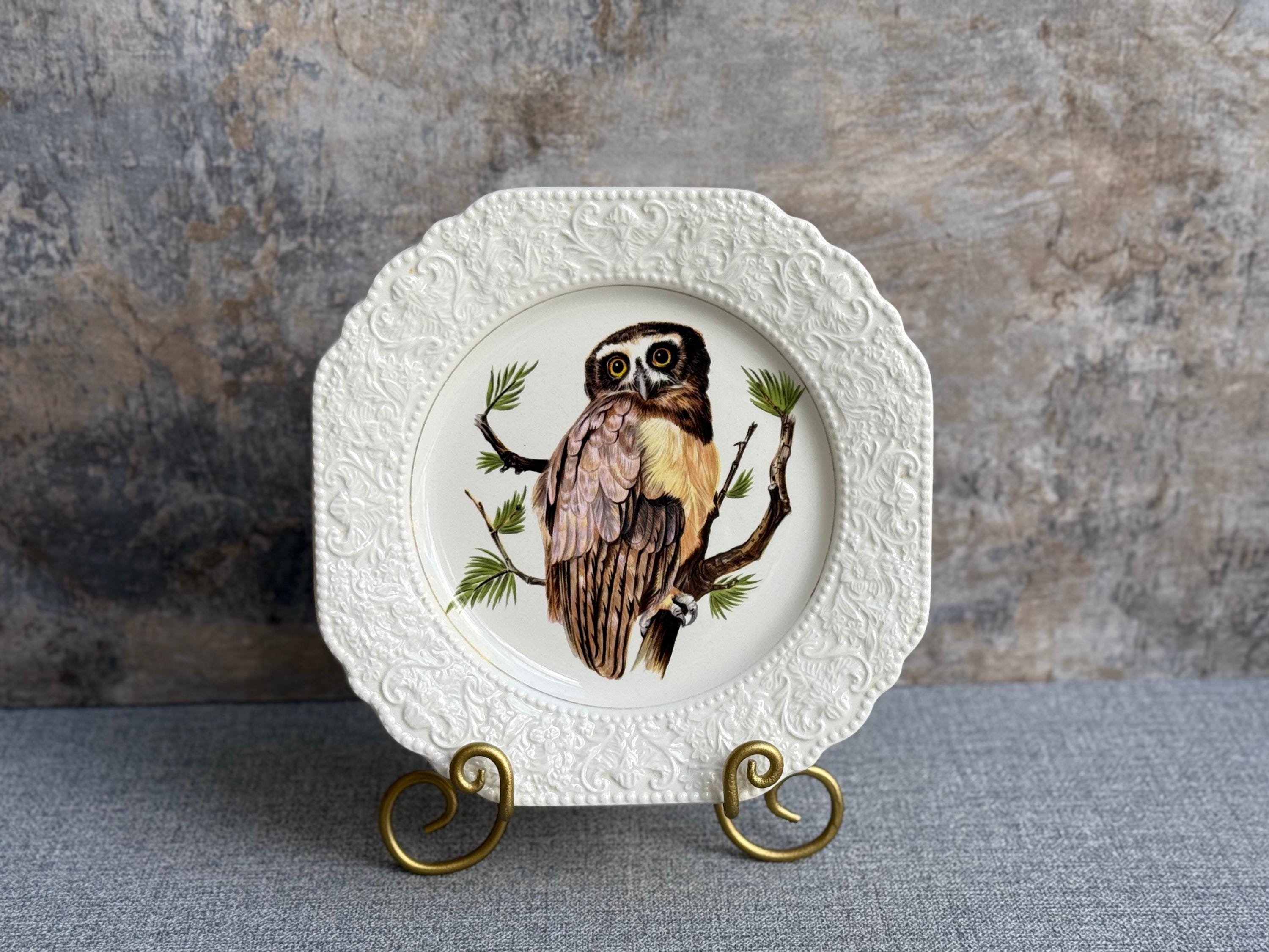 Vintage Lord Nelson Pottery Owl Plate | Embossed Square Display Plate | Bird Lovers Gift