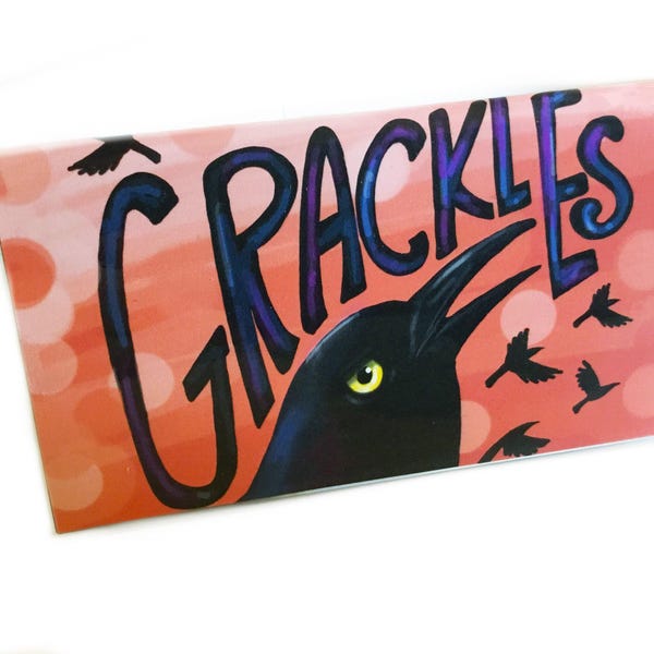 2027 -2028 Pocket Calendar Grackles at Dawn Mini Planner Datebook birds
