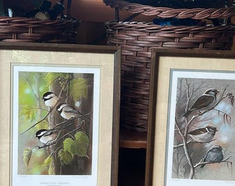 Antique Set of Bird pictures, lovely frames