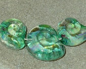 BHG  Caribbean nautilus trio