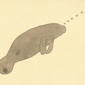 Direction- Manatee Print