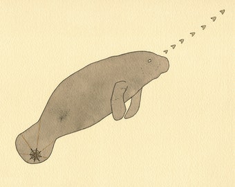 Direction- Manatee Print