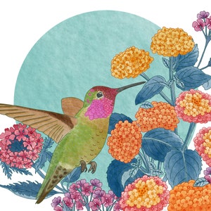 Anna's Hummingbird Print, unframed image 2