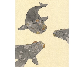 Conjure- Right Whale print