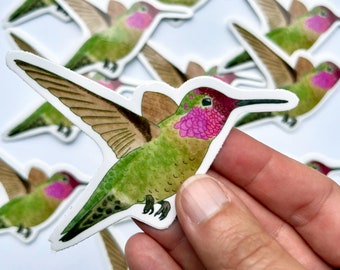 Hummingbird Vinyl Sticker