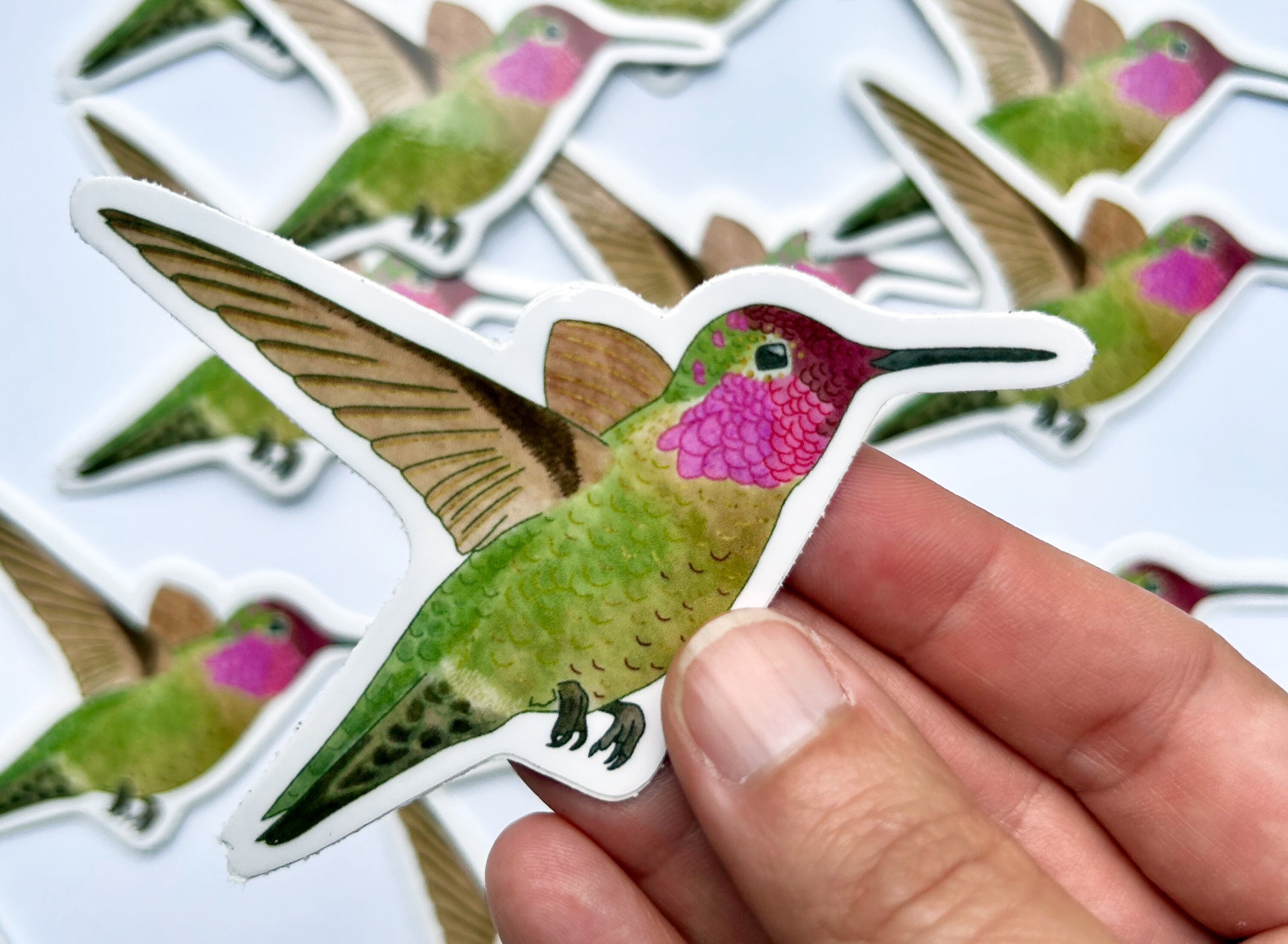 Hummingbird Vinyl Sticker - Etsy