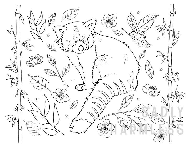 printable red panda coloring page etsy
