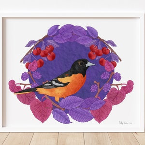 Baltimore Oriole Print, unframed
