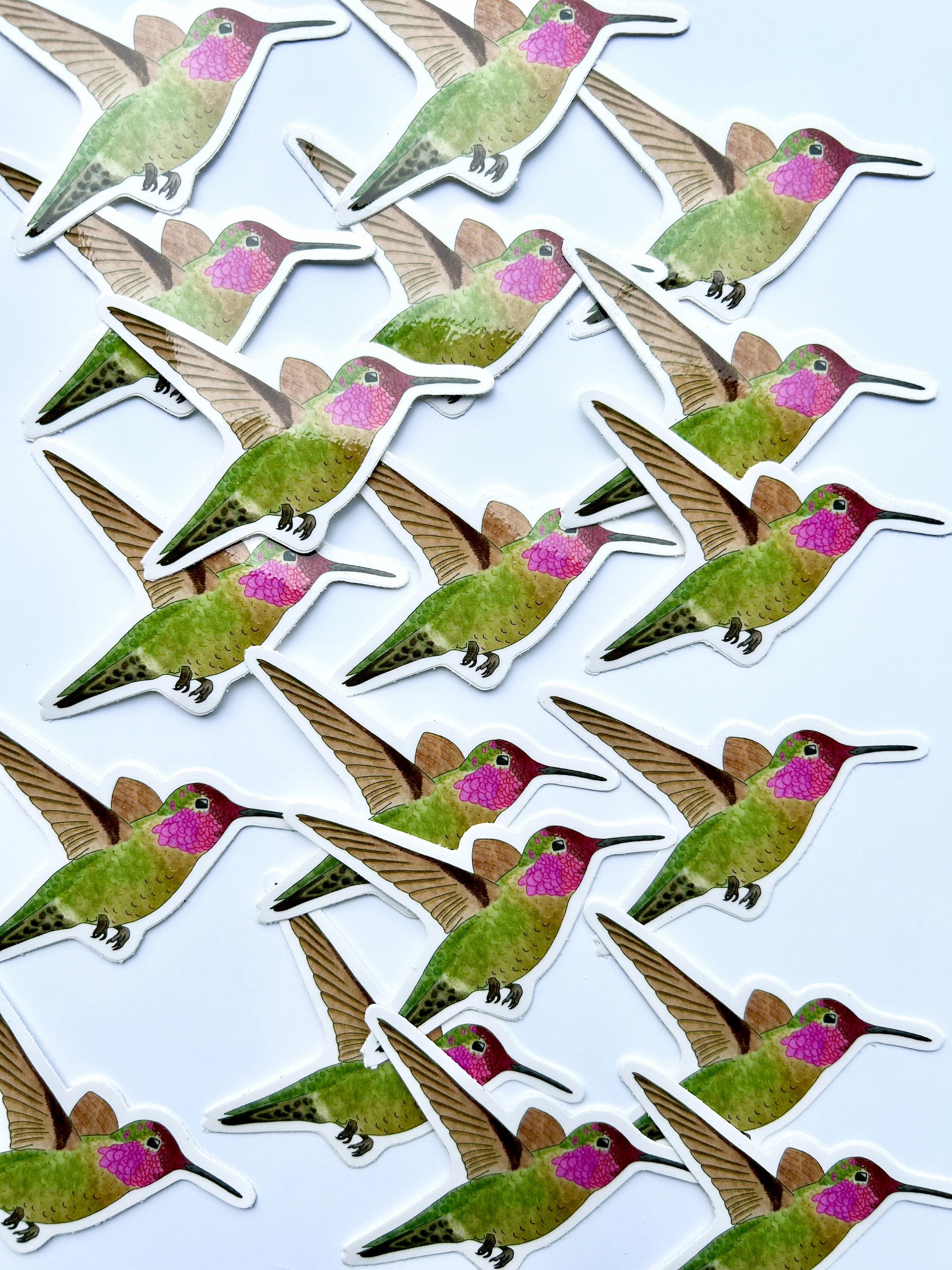 Hummingbird Vinyl Sticker - Etsy