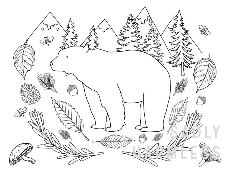 coloring page bundle 11 animal pages instantly