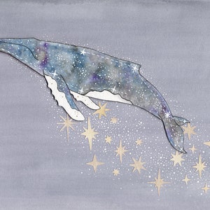 Humpback Whale Constellation print, unframed image 2