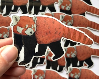 Red Panda Vinyl Sticker