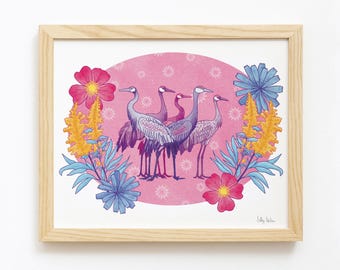 Sandhill Cranes Print, unframed