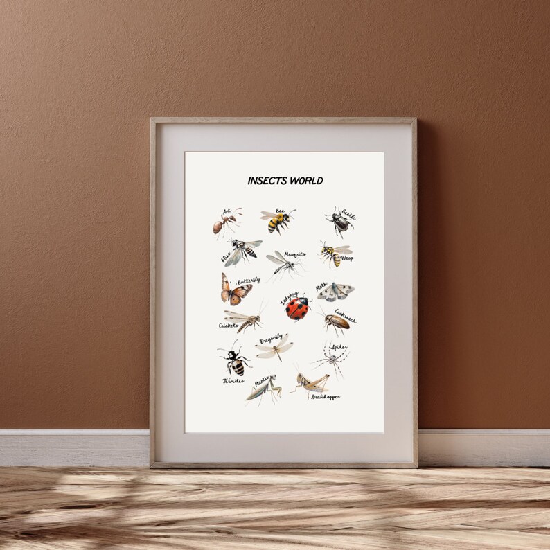 Insects Poster, Acrylic Insects Poster, Nursery Wall Print, Playroom ...