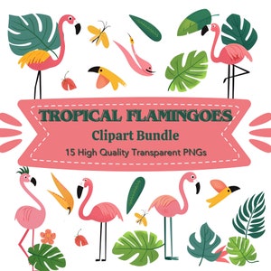 Cute Tropical Pink Flamingo Clipart Bundle, 15 Floral Tropical Birds Transparent Png, Flamingo Sublimations, Sassy Jungle Birthday Party Png
