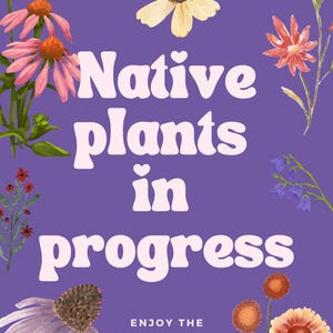 Native Plants in Progress Garden Sign or Garden Flag for people who are interested in sustainable habitats and native wildflowers or prairie restoration. Free shipping.