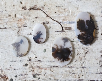 Peut inclure: Quatre cabochons d'agate avec des motifs dendritiques dans des tons de brun et de blanc sur une surface en bois blanc.
