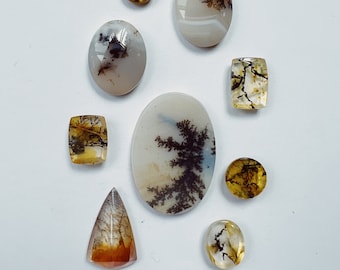 Pierres naturelles d'agate de quartz dendritique, agate dendritique, agate scénique, agate scénique, pierres précieuses en vrac, lot de cabochons d'agate dendritique