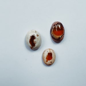 Mexicaanse Fire Opal Cabochon, Flat Back Cabochon, Mexicaanse Fire Opal Cab Lot afbeelding 3