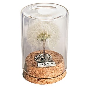 May include: A clear glass cloche encases a dandelion seed head, mounted on a cork base. A small silver charm and a rectangular tag with the word "WISH" are also included. The cloche has a rounded top.