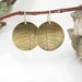 see more listings in the Pressed Nature earrings  section