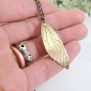 Cicada Wing Necklace, Copper or Brass, Real Insect Jewelry image 2