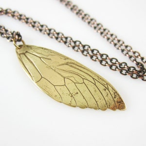 Cicada Wing Necklace, Copper or Brass, Real Insect Jewelry image 1