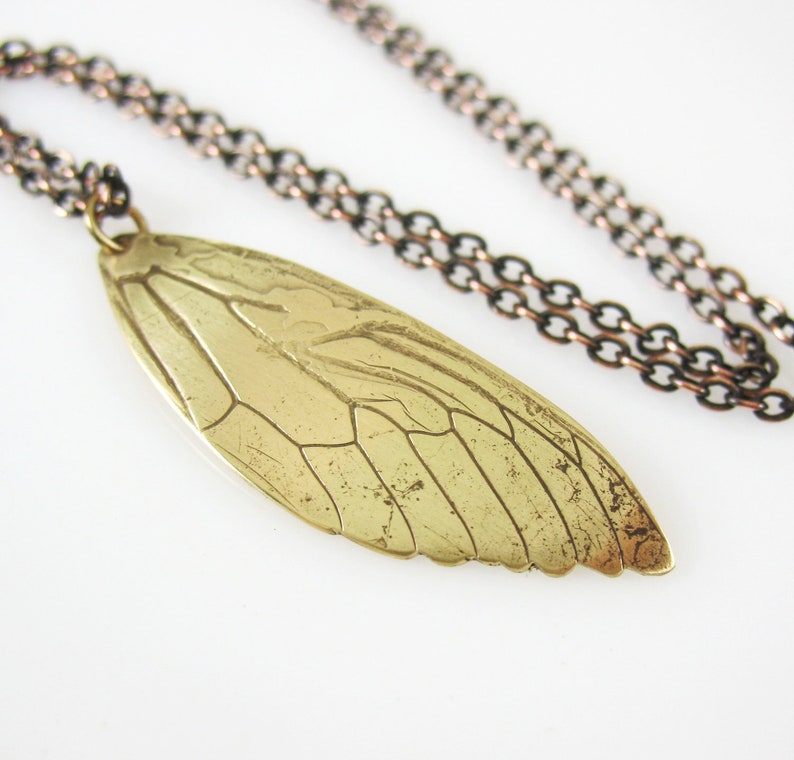 Cicada Wing Necklace, Copper or Brass, Real Insect Jewelry image 1