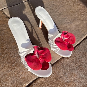 High Heels Orchidee