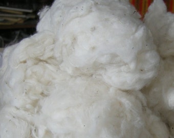 raw cotton for spinning or crafting (4 ounces)