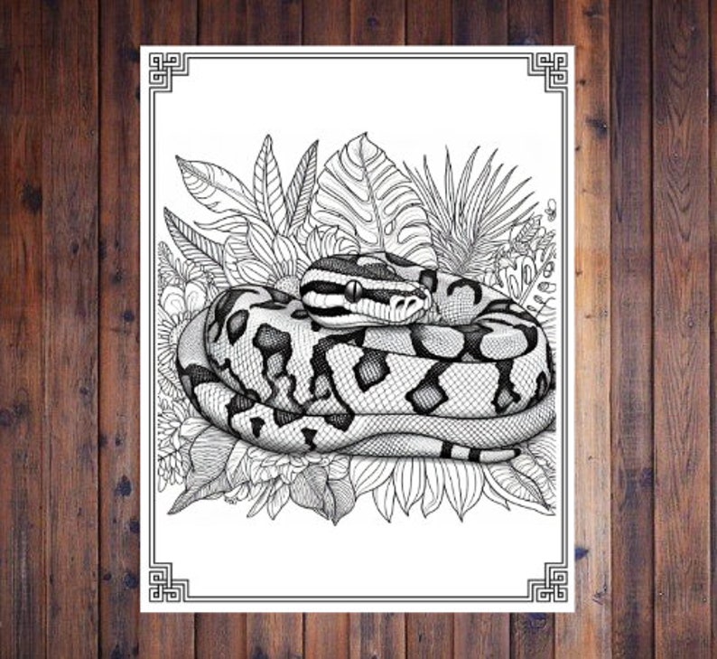Coloring Pages Snakes Adult Coloring Book Snakes Stress Relief Cute