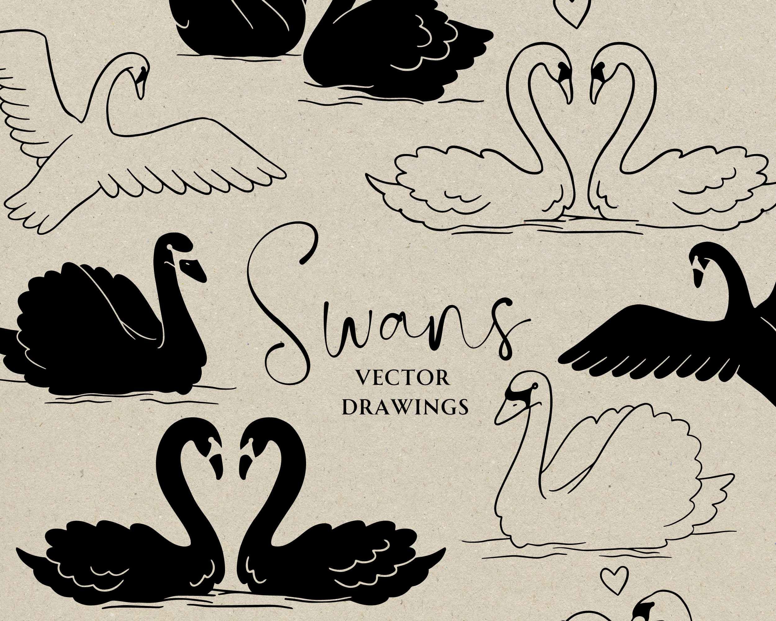 Hand Drawn Swan SVG PNG, White Swan for Wedding Vector File, Bridal ...