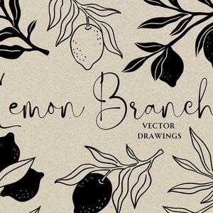 Ramo di limone Doodle Illustrazione SVG PNG - Icona di frutta stravagante disegnata a mano, Contorno di clip art di agrumi per addio al nubilato, Invito al menu di nozze