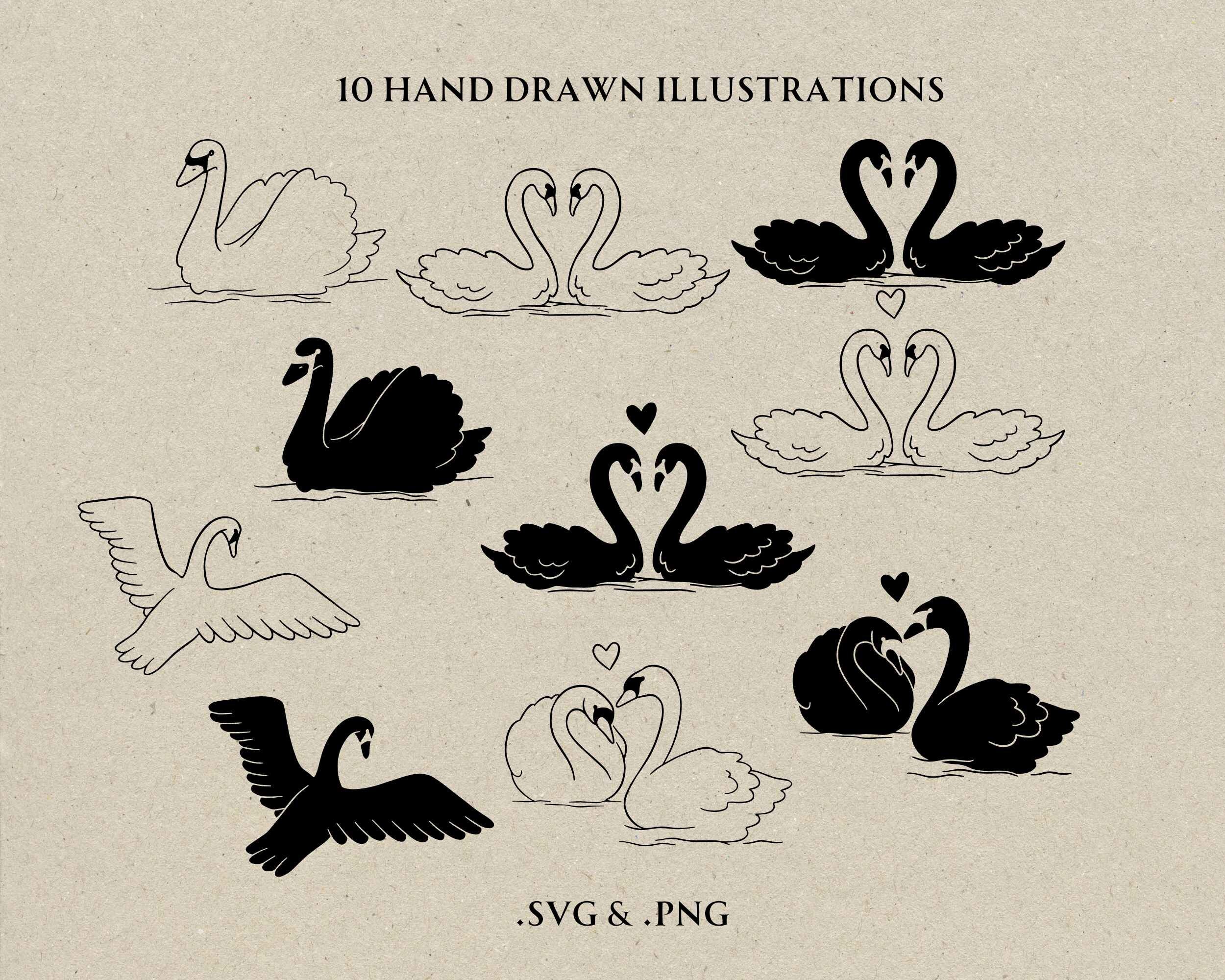 Vector Sawn Hand Drawn Swan SVG PNG, White Swan for Wedding Vector File, Bridal ...